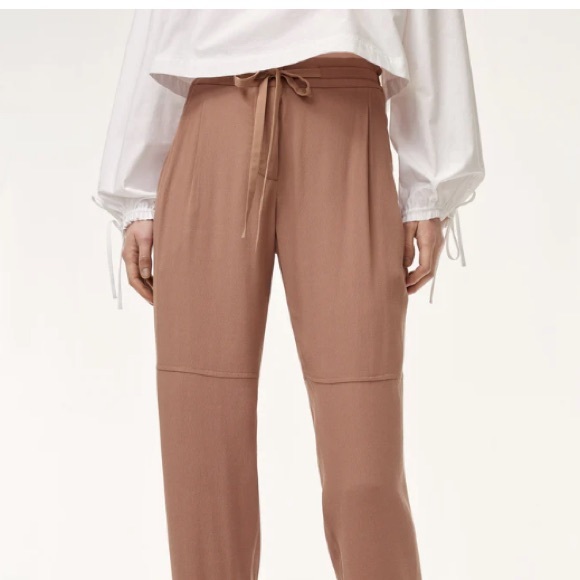 Wilfred Pants - Aritzia Wilfred Marias Pant